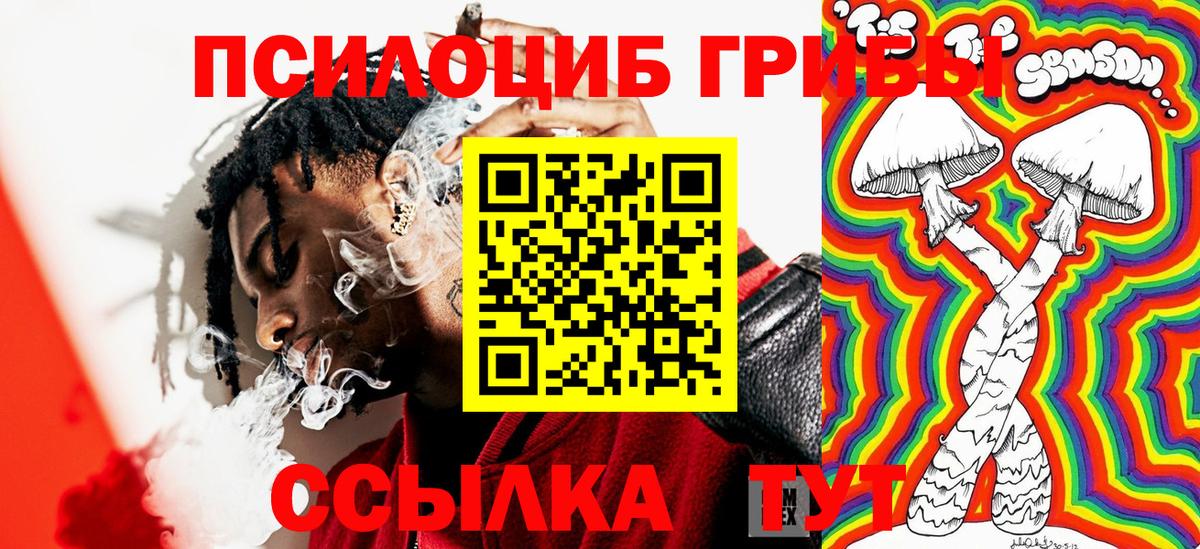 Донецк  где купить наркотик  Вход с VPN  Псилоцибиновые грибы Psilocybine cubensis  Галлюциногенные грибы прущие грибы 